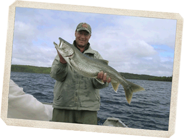 Large Lake Trout