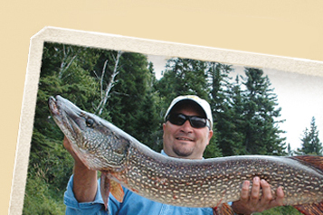 Big Northern Pike